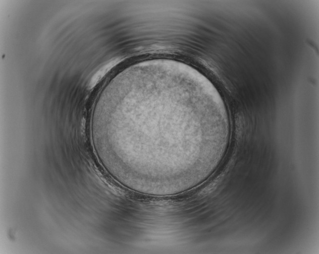 X0000103141066200809121749