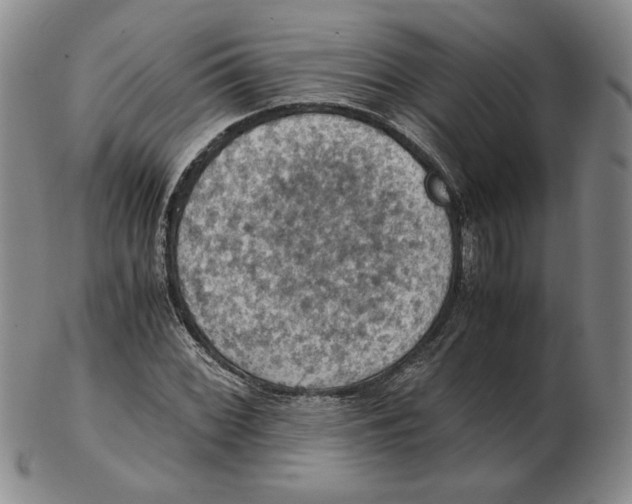 X0000103141068200809121749