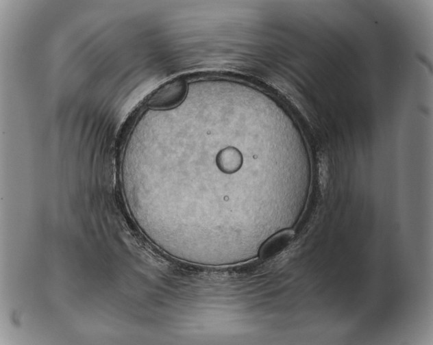 X0000103141069200809121749