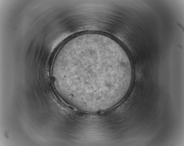 X0000103141070200809121749