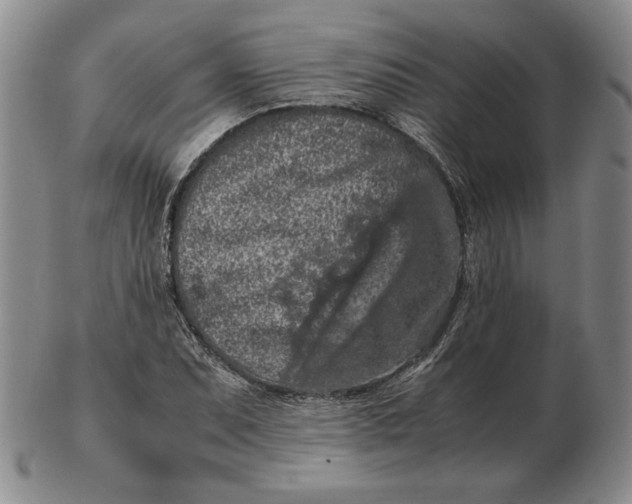 X0000103141071200809121749