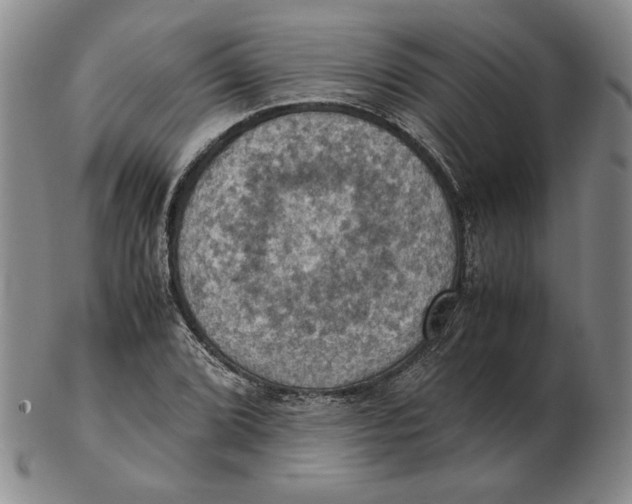 X0000103141072200809121749