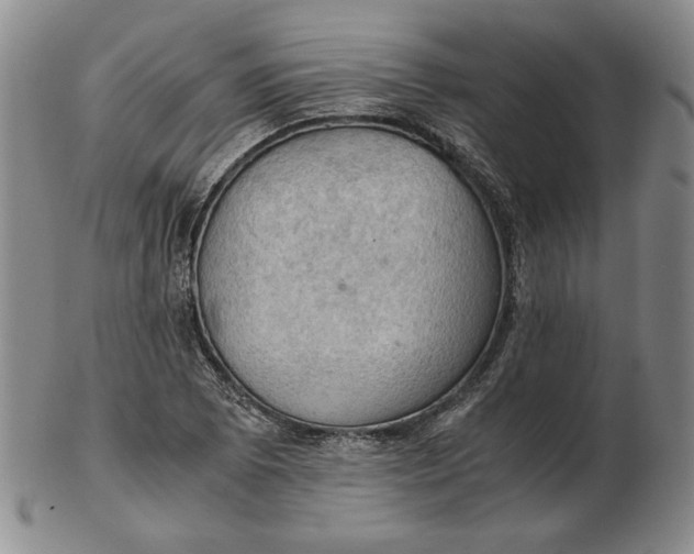 X0000103141073200809121749