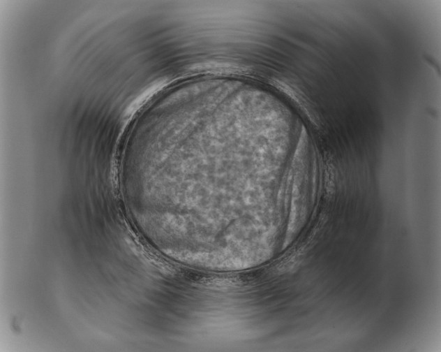 X0000103141074200809121749