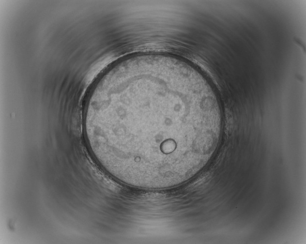 X0000103141075200809121749