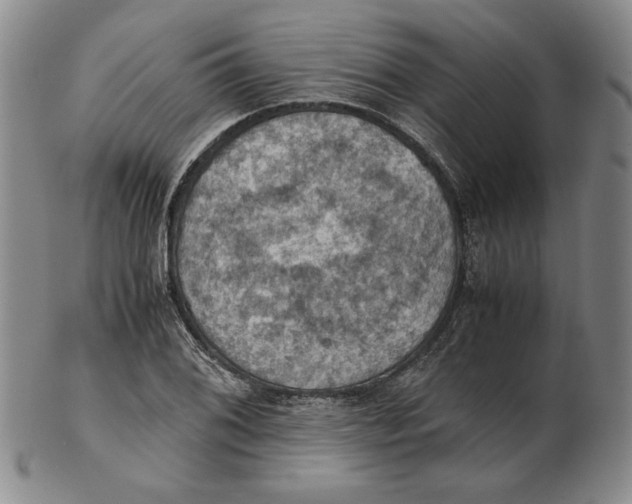 X0000103141076200809121749