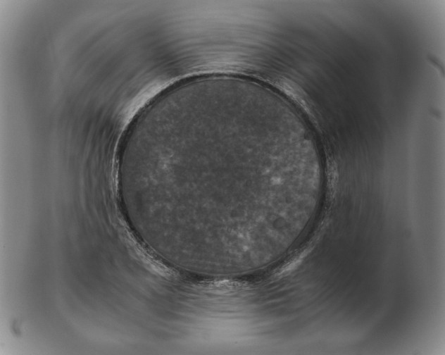 X0000103141077200809121749