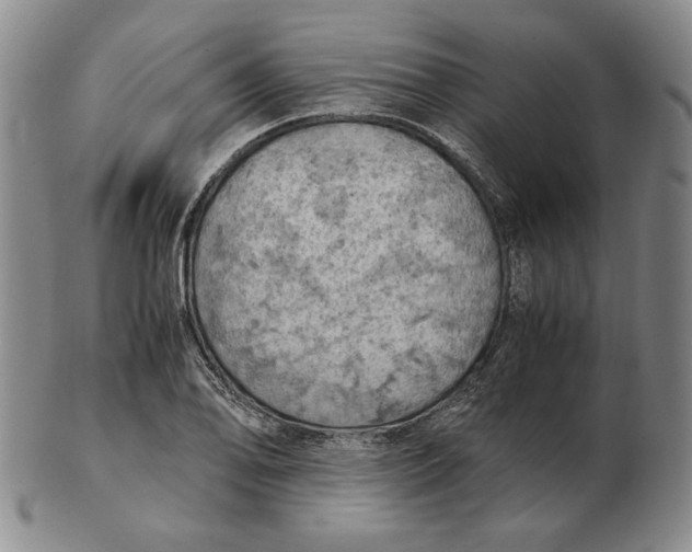 X0000103141078200809121749