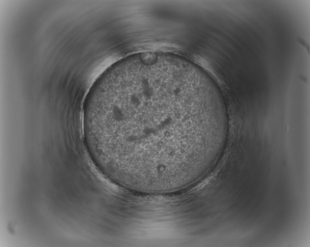 X0000103141079200809121749