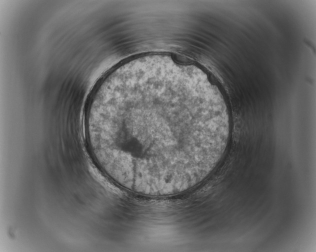 X0000103141080200809121749