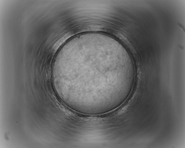 X0000103141081200809121749