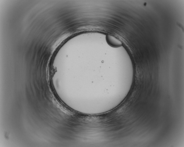 X0000103141082200809121749