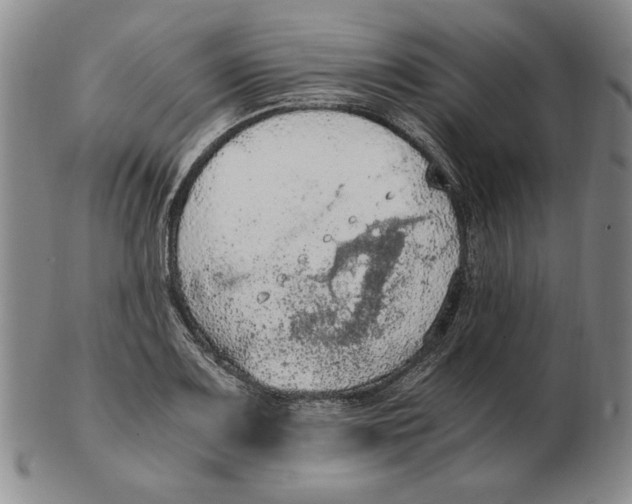 X0000103141083200809121749