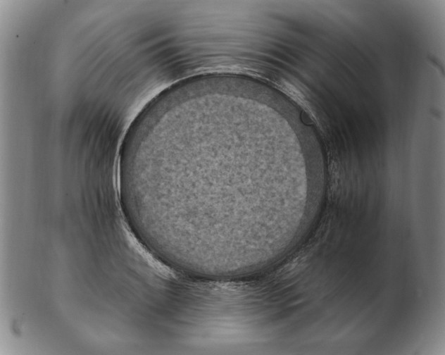 X0000103141084200809121749