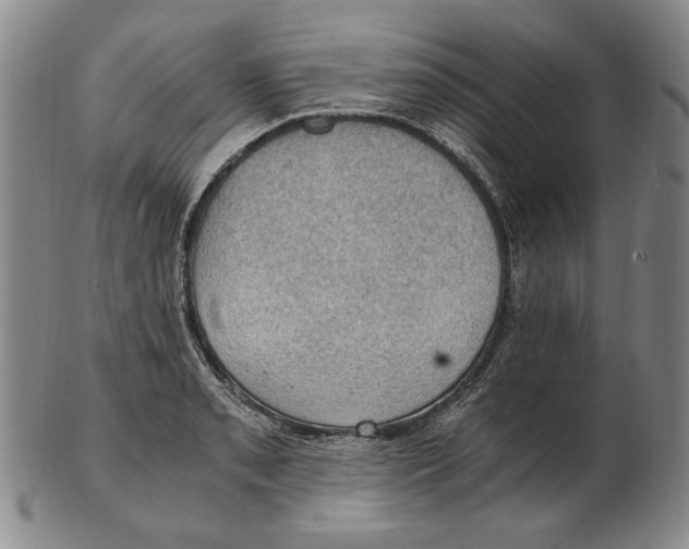 X0000103141085200809121749