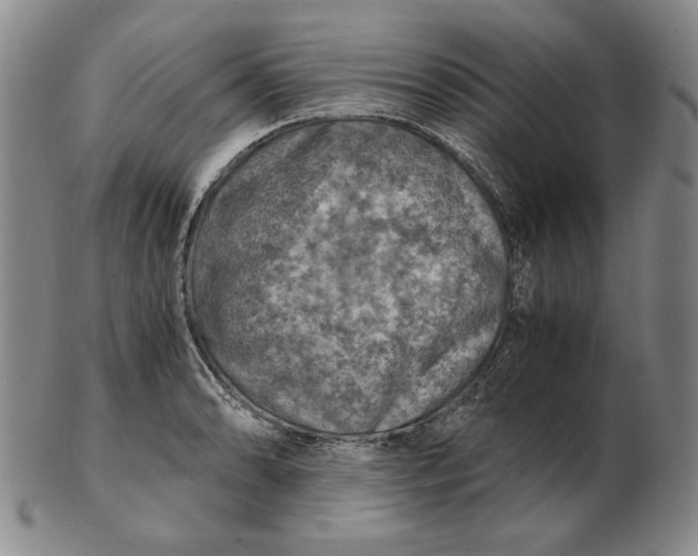 X0000103141086200809121749