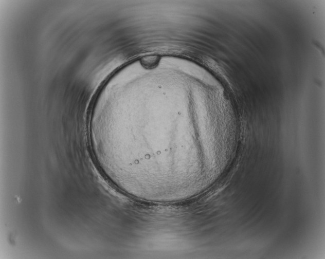 X0000103141087200809121749