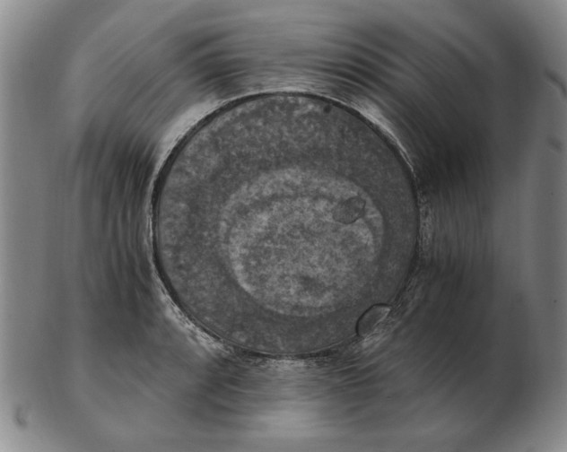 X0000103141088200809121748