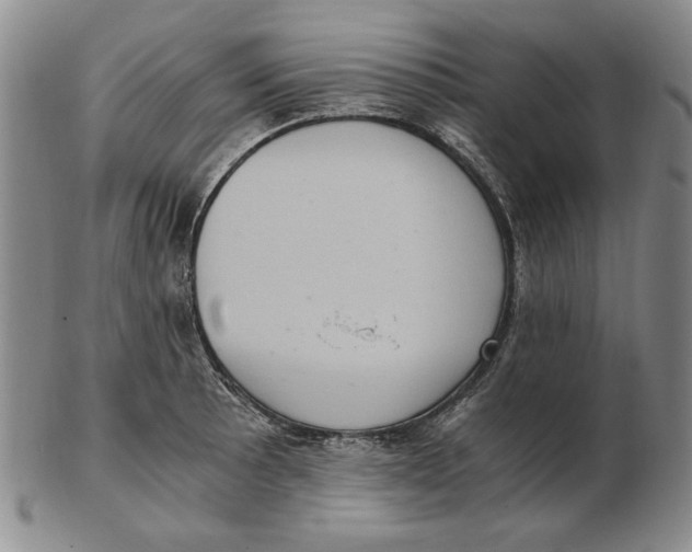 X0000103141089200809121748