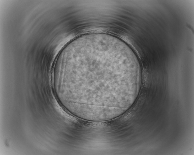 X0000103141090200809121748