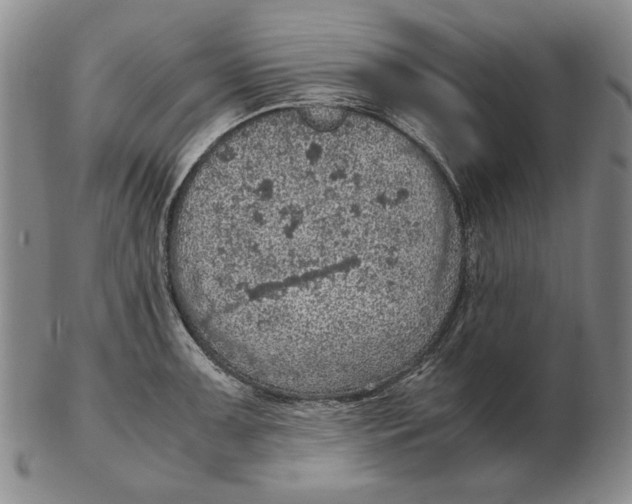 X0000103141091200809121748