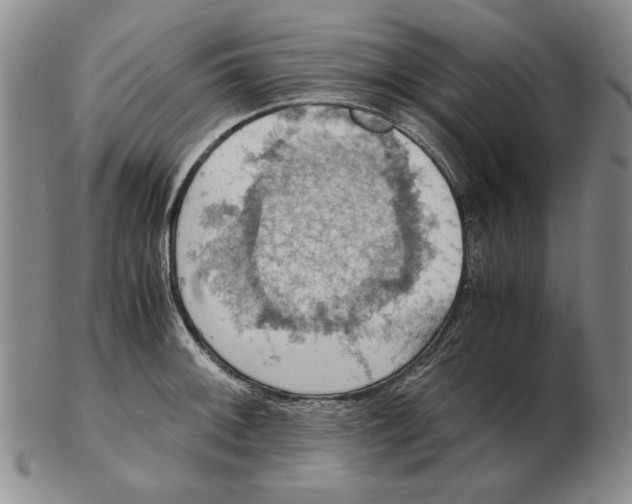 X0000103141092200809121748