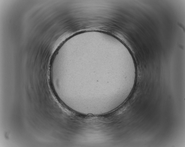 X0000103141093200809121748