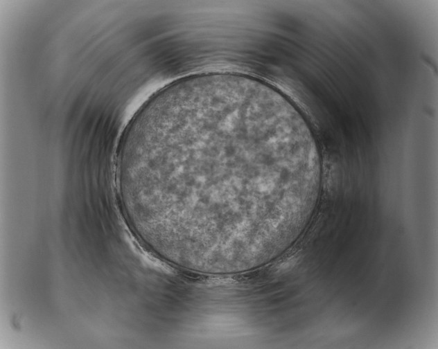 X0000103141094200809121748