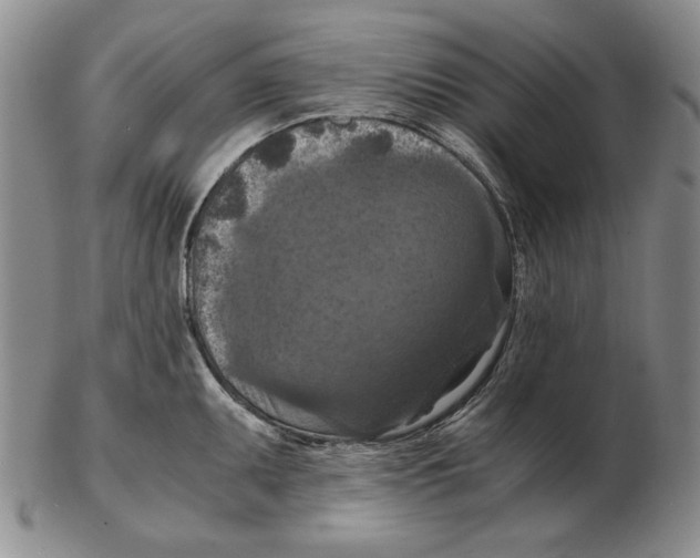 X0000103141095200809121748