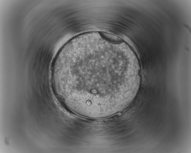 X0000103141096200809121748