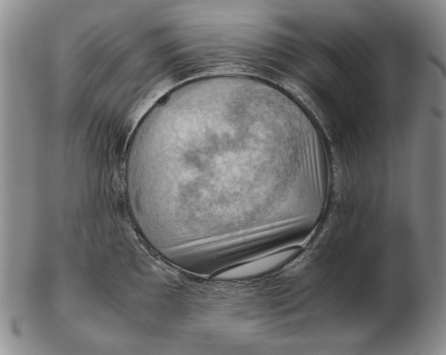 X0000103141097200809121748