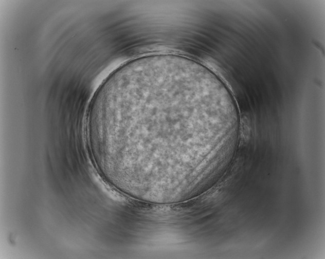 X0000103141098200809121748