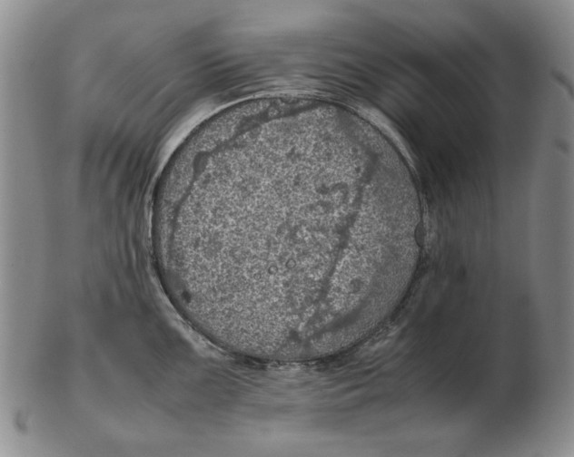 X0000103141099200809121748