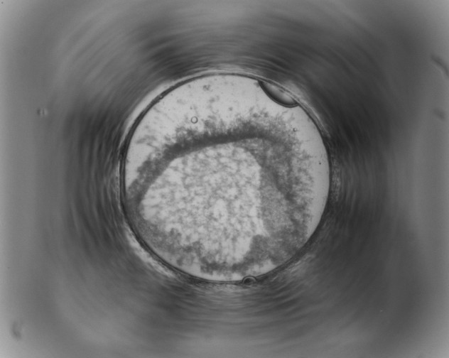 X0000103141100200809121748