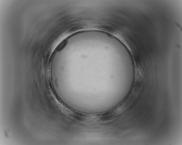 X0000103141101200809121748