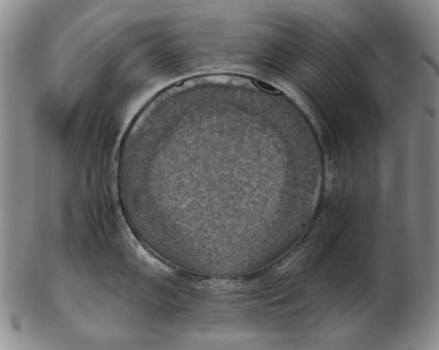 X0000103141102200809121748