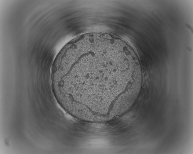 X0000103141103200809121748