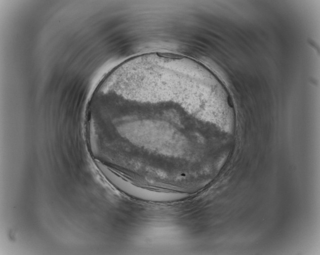 X0000103141104200809121748