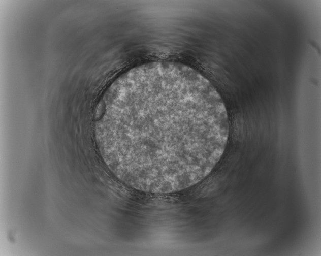 X0000103141105200809121748