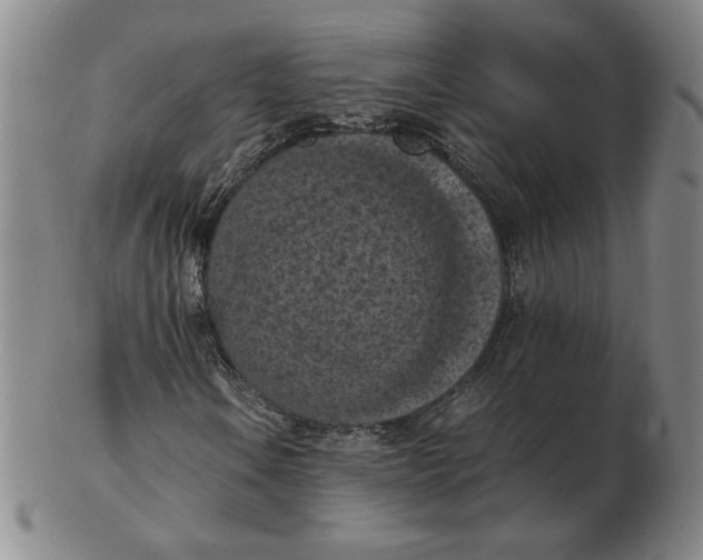 X0000103141106200809121748