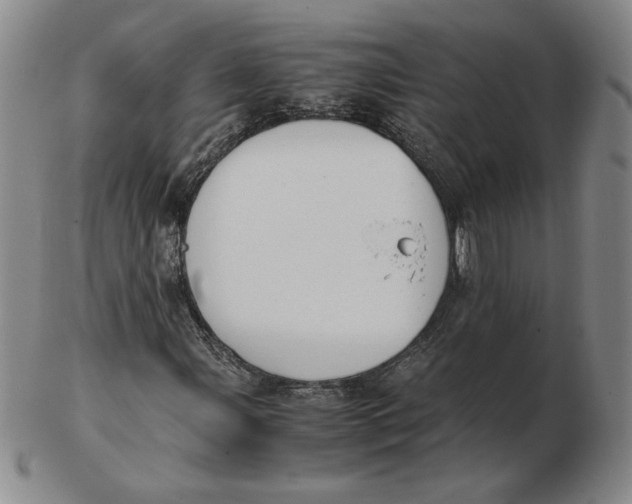 X0000103141107200809121748