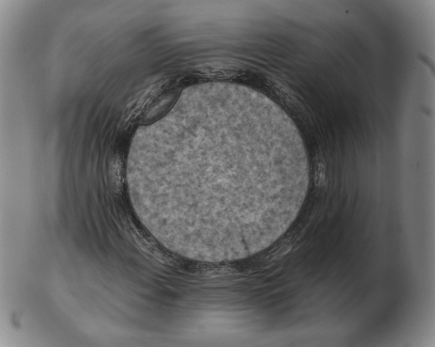 X0000103141108200809121748