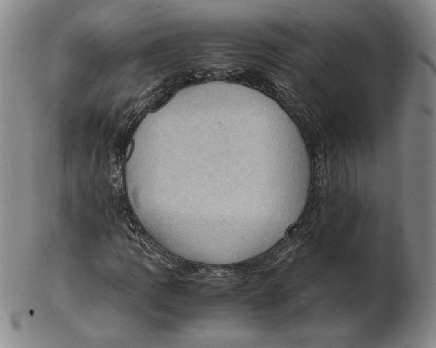 X0000103141109200809121748