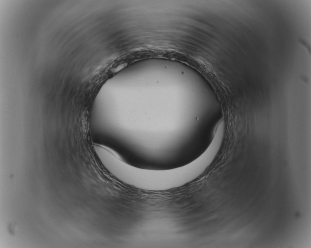 X0000103141110200809121748