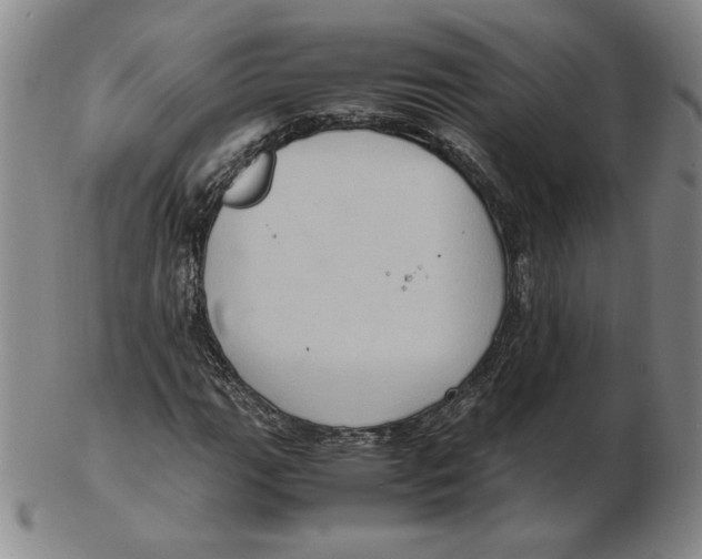 X0000103141111200809121748