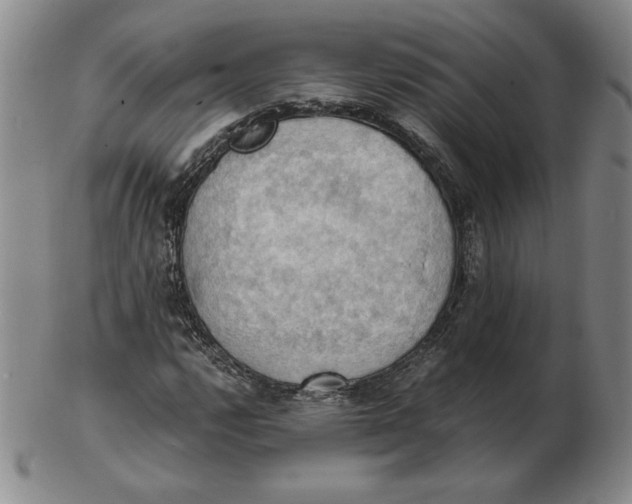 X0000103141112200809121748