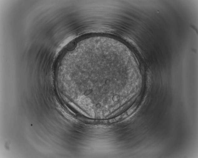 X0000103141114200809121748