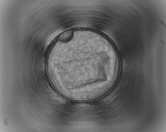 X0000103141115200809121748