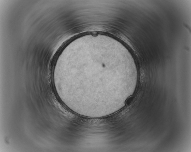 X0000103141116200809121748