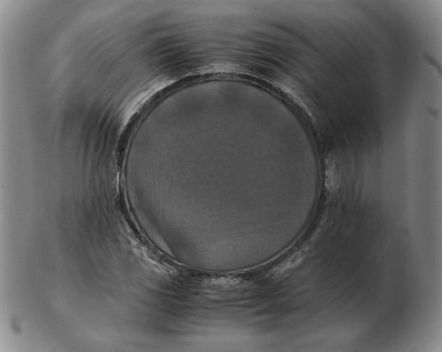 X0000103141117200809121748